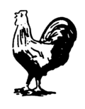Cock